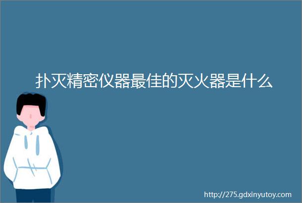 扑灭精密仪器最佳的灭火器是什么